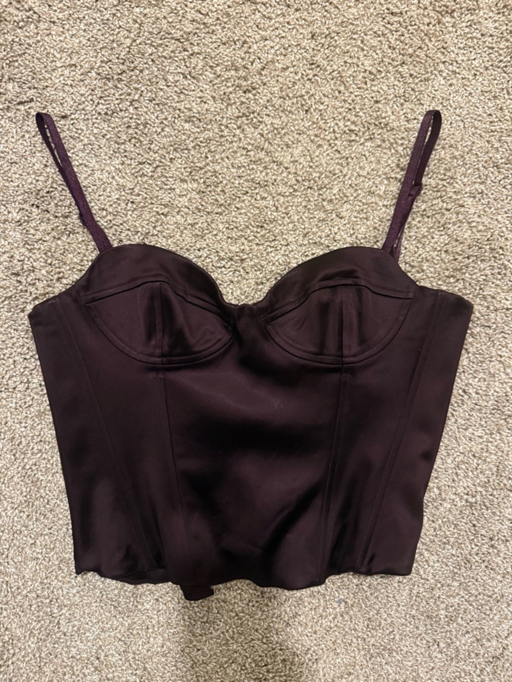 Aritzia TEN Satin Bustier in Plum